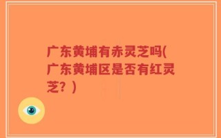 广东黄埔有赤灵芝吗(广东黄埔区是否有红灵芝？)