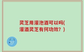 灵芝用灌泡酒可以吗(灌酒灵芝有何功效？)