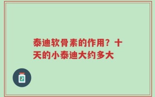 泰迪软骨素的作用？十天的小泰迪大约多大