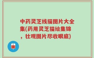 中药灵芝线描图片大全集(药用灵芝描绘集锦，壮观图片尽收眼底)