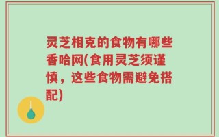 灵芝相克的食物有哪些香哈网(食用灵芝须谨慎，这些食物需避免搭配)