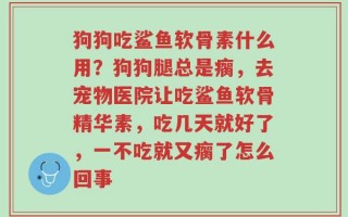 狗狗吃鲨鱼软骨素什么用？狗狗腿总是瘸，去宠物医院让吃鲨鱼软骨精华素，吃几天就好了，一不吃就又瘸了怎么回事