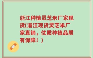 浙江种植灵芝米厂家现货(浙江现货灵芝米厂家直销，优质种植品质有保障！)