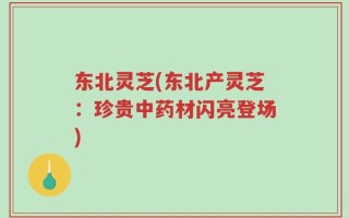 东北灵芝(东北产灵芝：珍贵中药材闪亮登场)