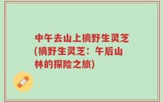 中午去山上摘野生灵芝(摘野生灵芝：午后山林的探险之旅)