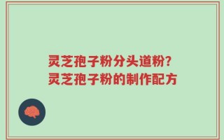 灵芝孢子粉分头道粉？灵芝孢子粉的制作配方