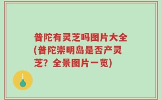 普陀有灵芝吗图片大全(普陀崇明岛是否产灵芝？全景图片一览)