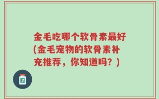 金毛吃哪个软骨素最好(金毛宠物的软骨素补充推荐，你知道吗？)