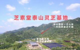 破壁灵芝孢子粉保质期有多久，这样做让你的破壁灵芝孢子粉保质期更长  	