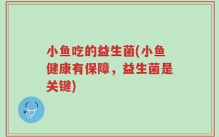 小鱼吃的益生菌(小鱼健康有保障，益生菌是关键)