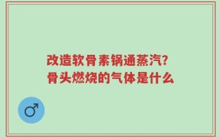 改造软骨素锅通蒸汽？骨头燃烧的气体是什么