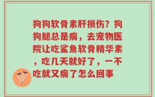 狗狗软骨素肝损伤？狗狗腿总是瘸，去宠物医院让吃鲨鱼软骨精华素，吃几天就好了，一不吃就又瘸了怎么回事