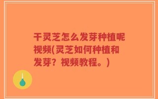干灵芝怎么发芽种植呢视频(灵芝如何种植和发芽？视频教程。)