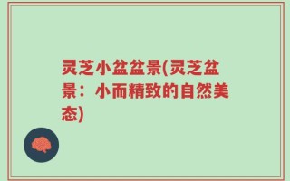 灵芝小盆盆景(灵芝盆景：小而精致的自然美态)