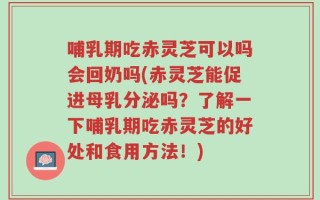 哺乳期吃赤灵芝可以吗会回奶吗(赤灵芝能促进母乳分泌吗？了解一下哺乳期吃赤灵芝的好处和食用方法！)
