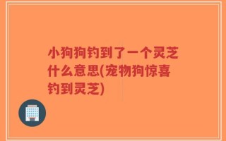 小狗狗钓到了一个灵芝什么意思(宠物狗惊喜钓到灵芝)