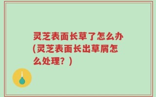 灵芝表面长草了怎么办(灵芝表面长出草屑怎么处理？)