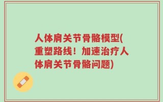 人体肩关节骨骼模型(重塑路线！加速治疗人体肩关节骨骼问题)