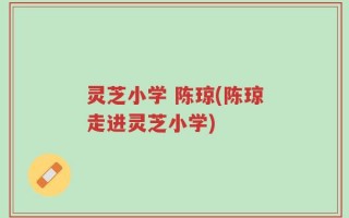 灵芝小学 陈琼(陈琼走进灵芝小学)