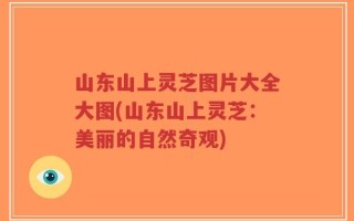 山东山上灵芝图片大全大图(山东山上灵芝：美丽的自然奇观)