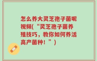 怎么养大灵芝孢子菌呢视频(“灵芝孢子菌养殖技巧，教你如何养活高产菌种！”)