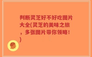 判断灵芝好不好吃图片大全(灵芝的美味之旅，多张图片带你领略！)