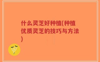 什么灵芝好种植(种植优质灵芝的技巧与方法)