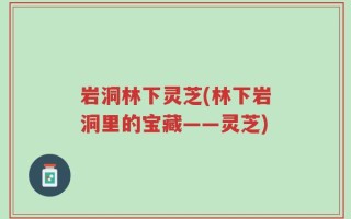 岩洞林下灵芝(林下岩洞里的宝藏——灵芝)