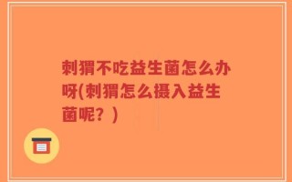 刺猬不吃益生菌怎么办呀(刺猬怎么摄入益生菌呢？)