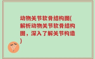 动物关节软骨结构图(解析动物关节软骨结构图，深入了解关节构造)