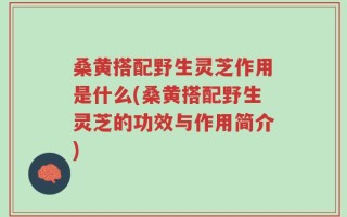 桑黄搭配野生灵芝作用是什么(桑黄搭配野生灵芝的功效与作用简介)