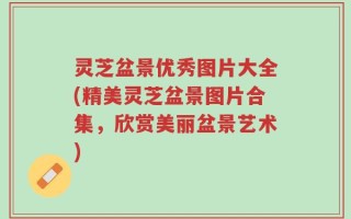 灵芝盆景优秀图片大全(精美灵芝盆景图片合集，欣赏美丽盆景艺术)