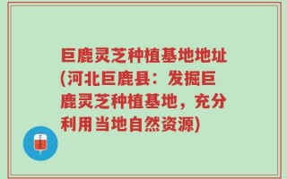 巨鹿灵芝种植基地地址(河北巨鹿县：发掘巨鹿灵芝种植基地，充分利用当地自然资源)