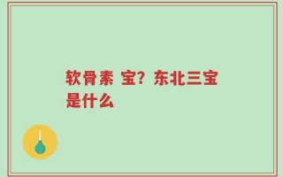 软骨素 宝？东北三宝是什么