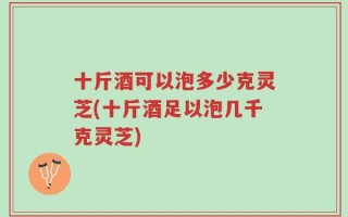 十斤酒可以泡多少克灵芝(十斤酒足以泡几千克灵芝)