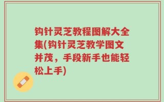 钩针灵芝教程图解大全集(钩针灵芝教学图文并茂，手段新手也能轻松上手)