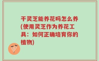 干灵芝能养花吗怎么养(使用灵芝作为养花工具：如何正确培育你的植物)