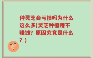 种灵芝会亏损吗为什么这么多(灵芝种植赚不赚钱？原因究竟是什么？)