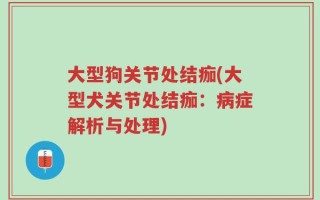 大型狗关节处结痂(大型犬关节处结痂：病症解析与处理)