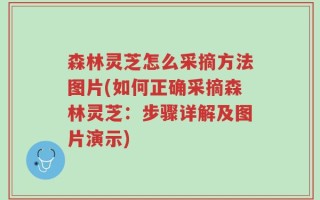 森林灵芝怎么采摘方法图片(如何正确采摘森林灵芝：步骤详解及图片演示)