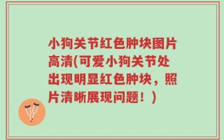 小狗关节红色肿块图片高清(可爱小狗关节处出现明显红色肿块，照片清晰展现问题！)