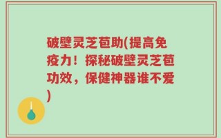 破壁灵芝苞助(提高免疫力！探秘破壁灵芝苞功效，保健神器谁不爱)