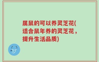 属鼠的可以养灵芝花(适合鼠年养的灵芝花，提升生活品质)