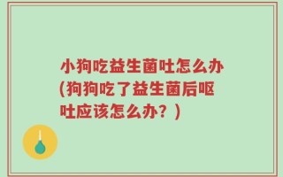 小狗吃益生菌吐怎么办(狗狗吃了益生菌后呕吐应该怎么办？)
