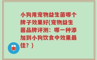 小狗用宠物益生菌哪个牌子效果好(宠物益生菌品牌评测：哪一种添加到小狗饮食中效果最佳？)