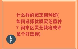什么样的灵芝菌种好(如何选择优质灵芝菌种？闹市区灵芝栽培或许是个好选择)