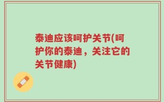 泰迪应该呵护关节(呵护你的泰迪，关注它的关节健康)