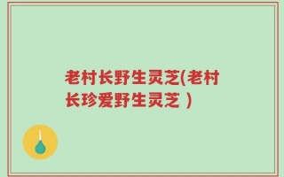 老村长野生灵芝(老村长珍爱野生灵芝 )