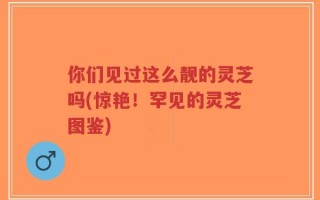 你们见过这么靓的灵芝吗(惊艳！罕见的灵芝图鉴)