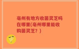 亳州有地方收菌灵芝吗在哪里(亳州哪里能收购菌灵芝？)